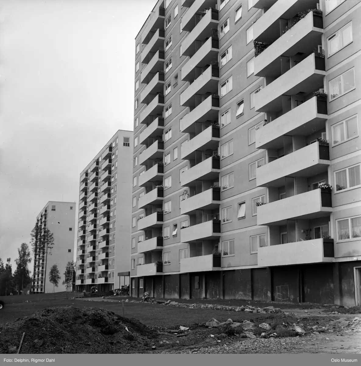 boligblokker, balkonger, tomt, hage