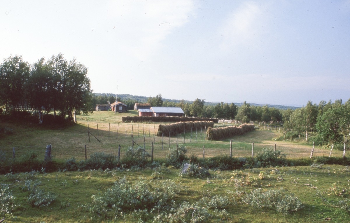 Bergvollen.