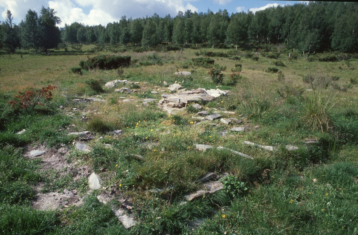 Tollolvollen. Galådalen. Rester av sæter.