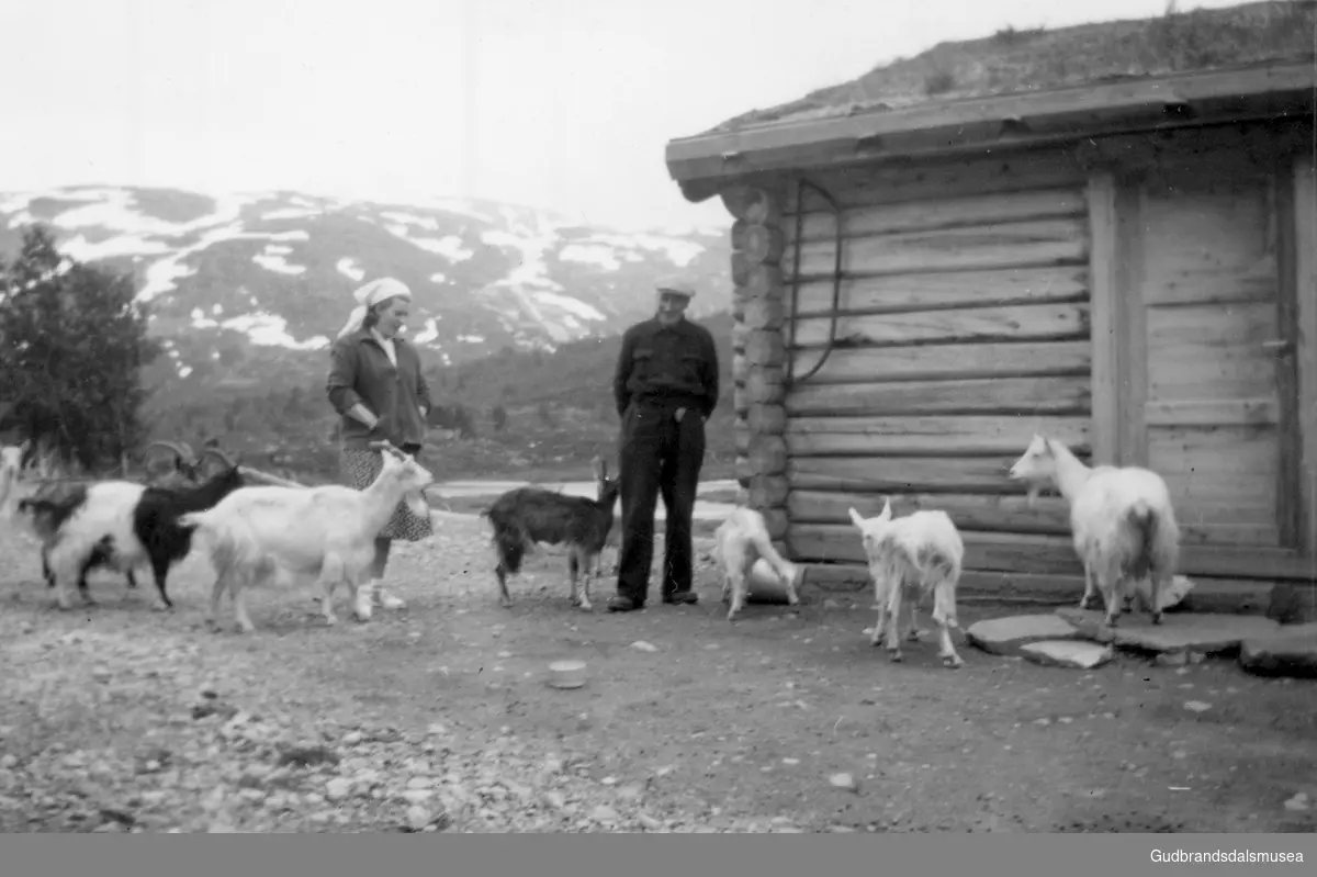 Oddveig Teigen (f. 1930 g. Plassen) og Ola Ødegård (f. Dagsgardsødegård 1882) på Mysubytta