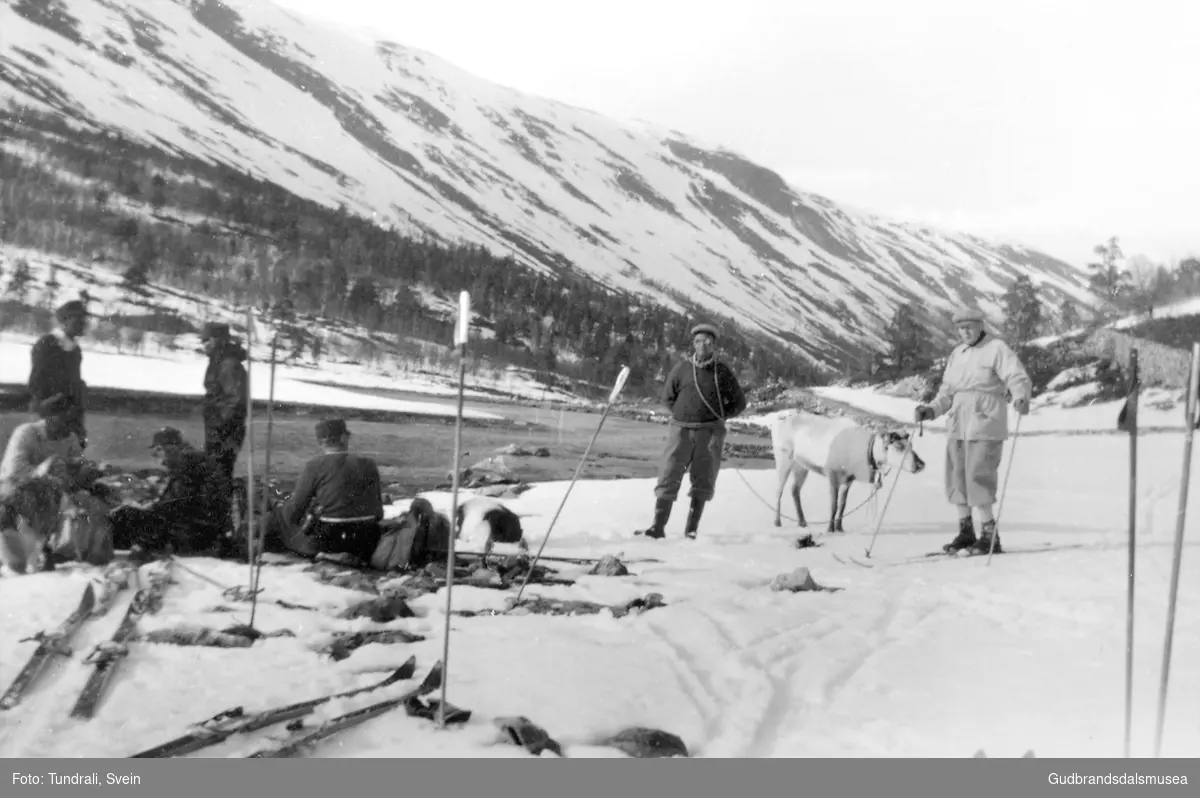 Arne Teigen (f. 1896) og reinsgjetarar ved Liavassosen