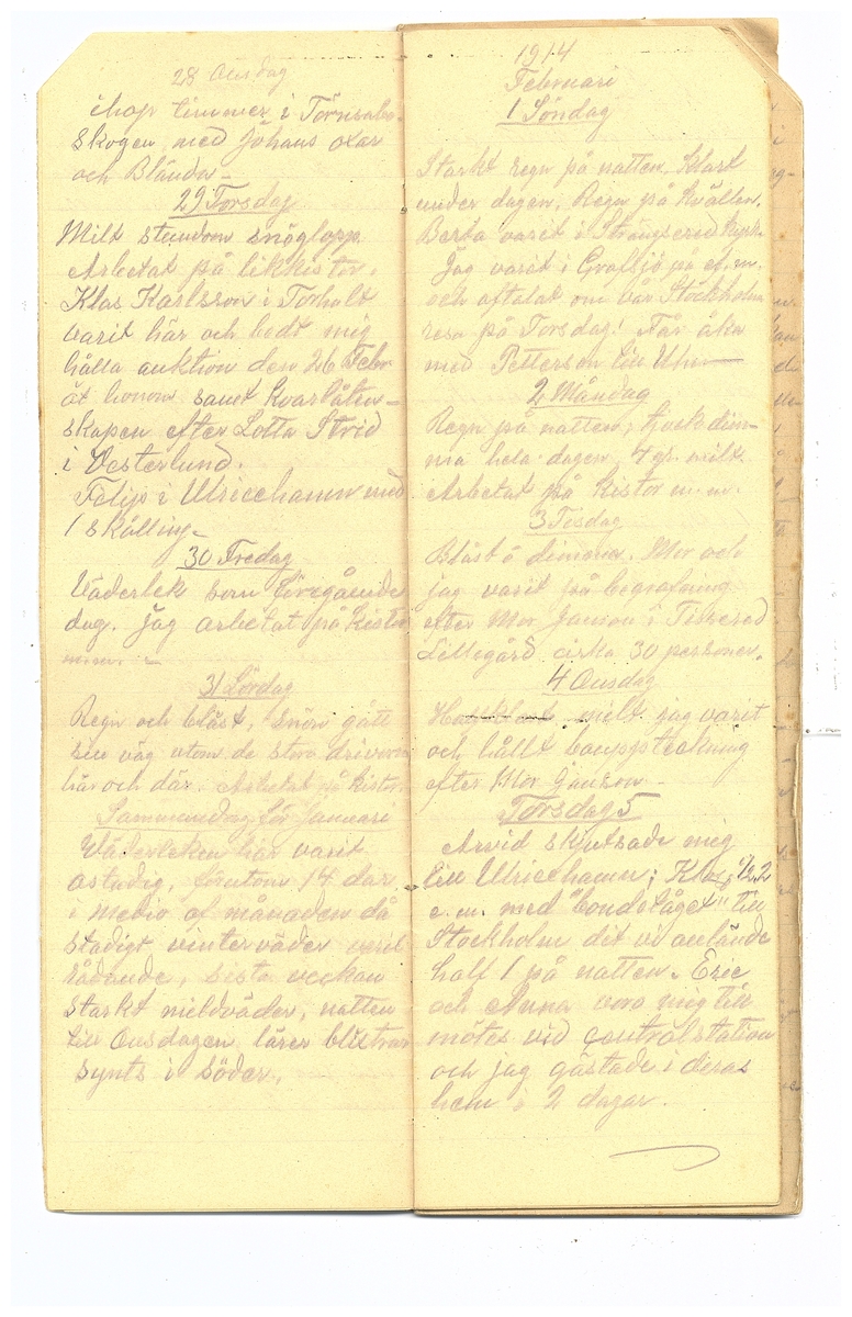 Gullereddagboken 1914 2