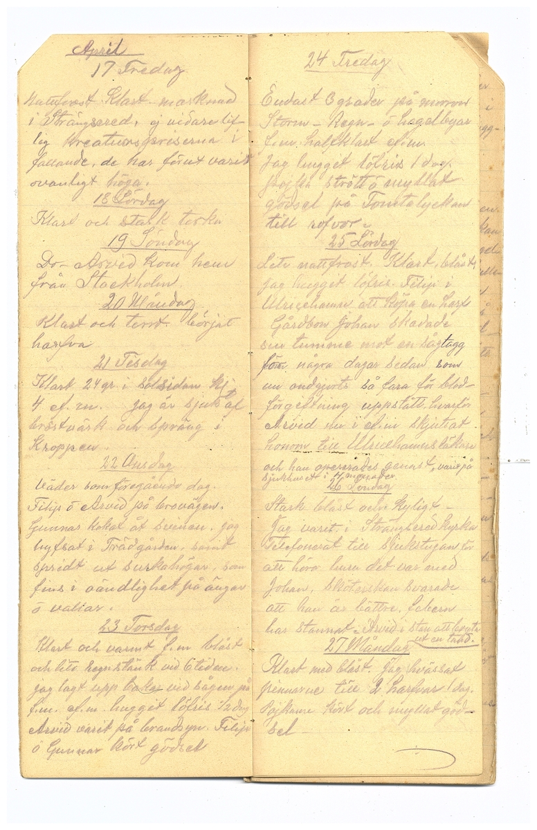 Gullereddagboken 1914 2