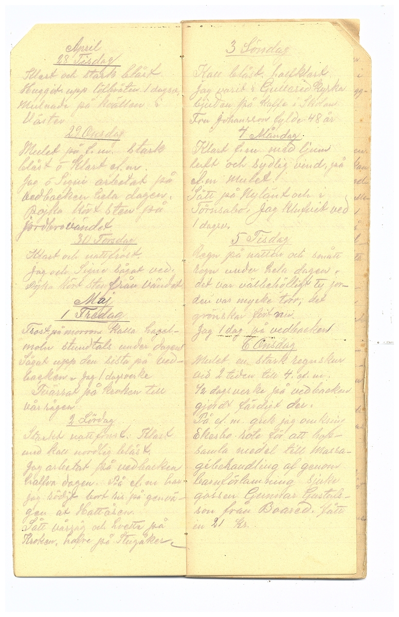 Gullereddagboken 1914 2