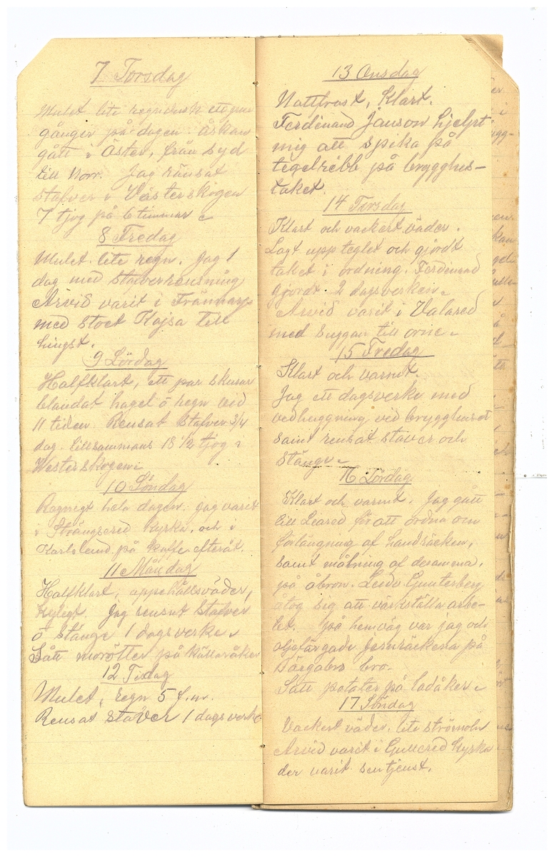 Gullereddagboken 1914 2