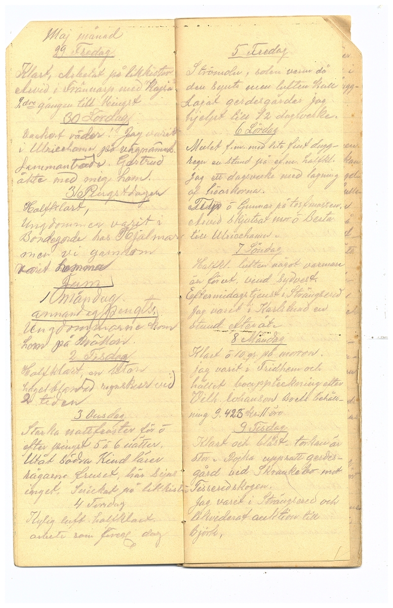 Gullereddagboken 1914 2