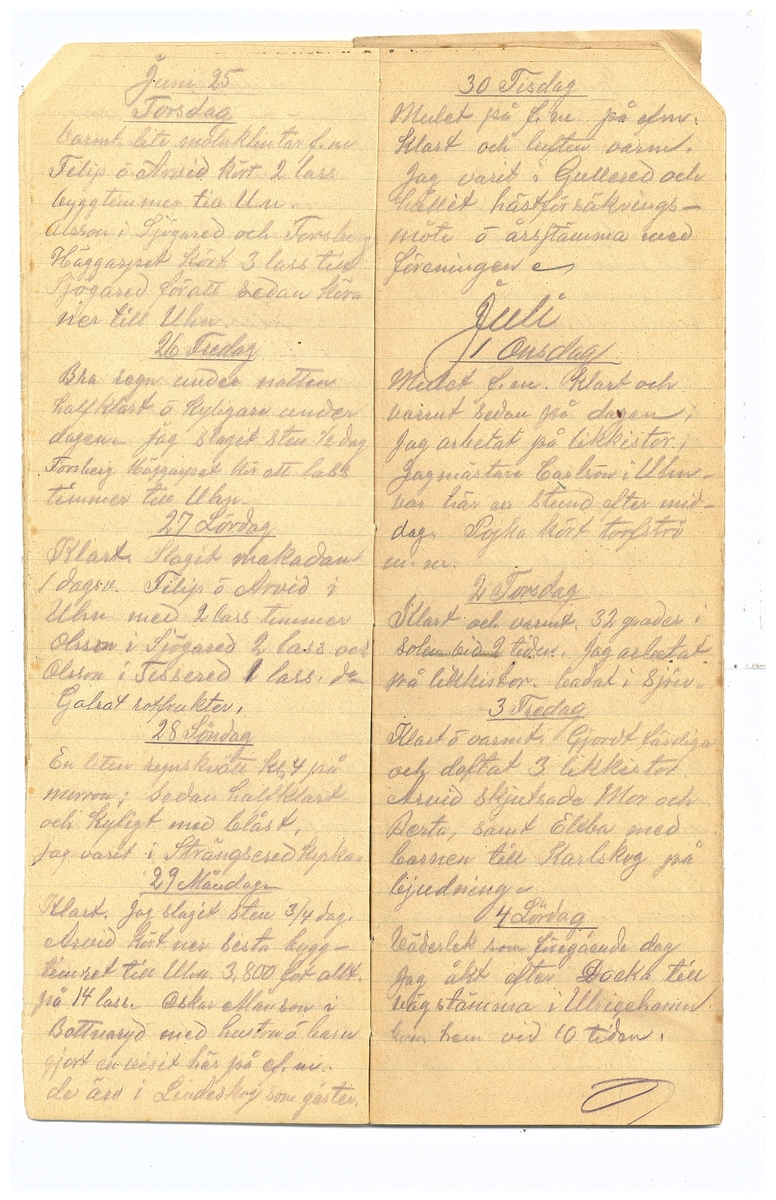 Gullereddagboken 1914 2