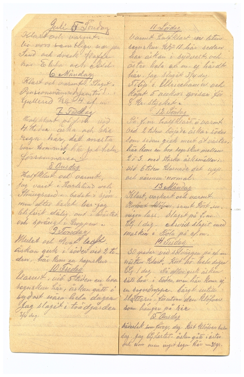 Gullereddagboken 1914 2