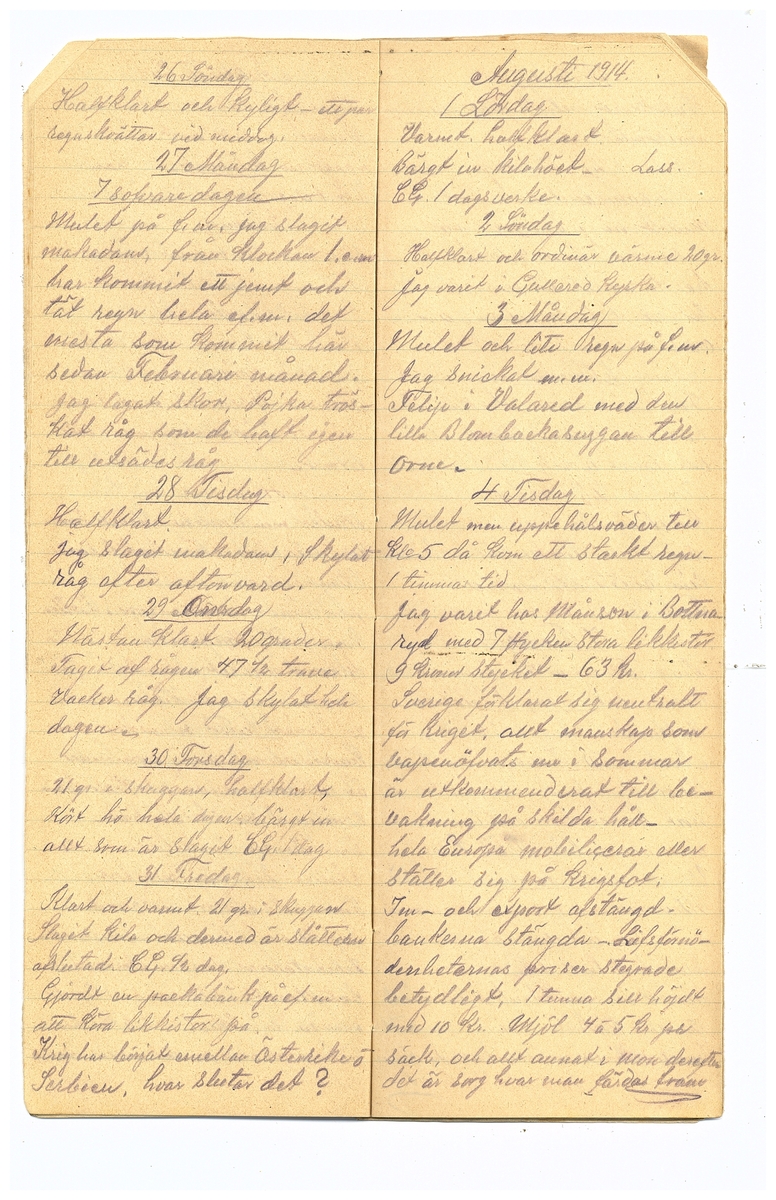 Gullereddagboken 1914 2