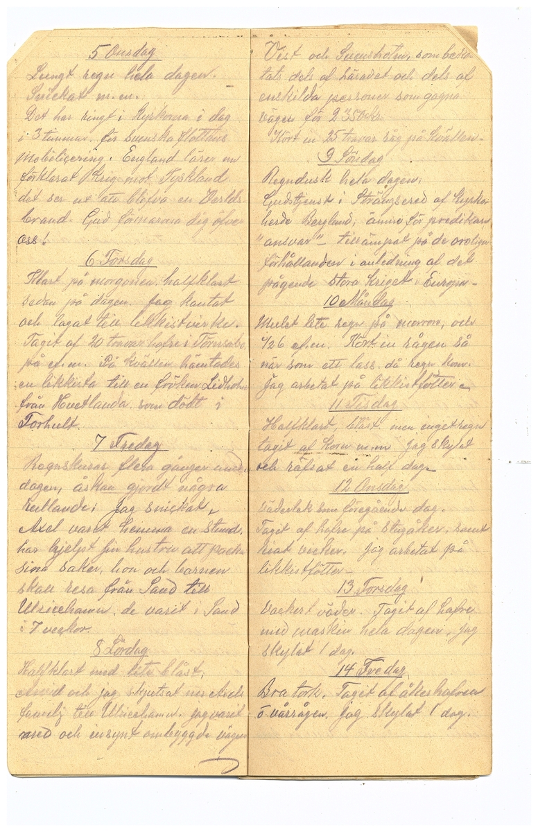 Gullereddagboken 1914 2