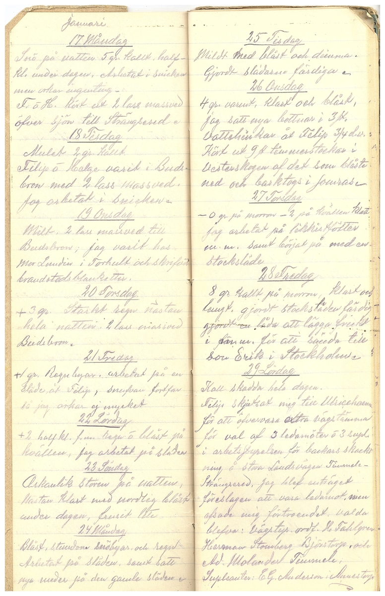 Gullereddagboken 1916 3