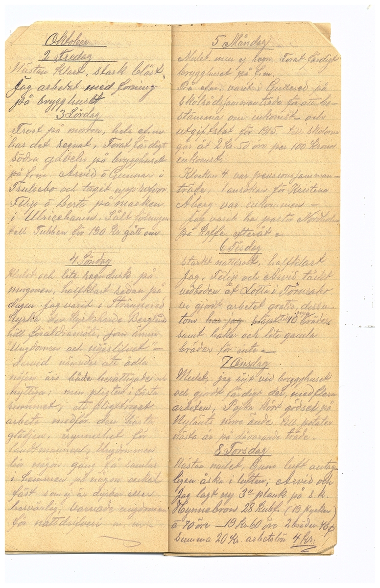 Gullereddagboken 1914 2