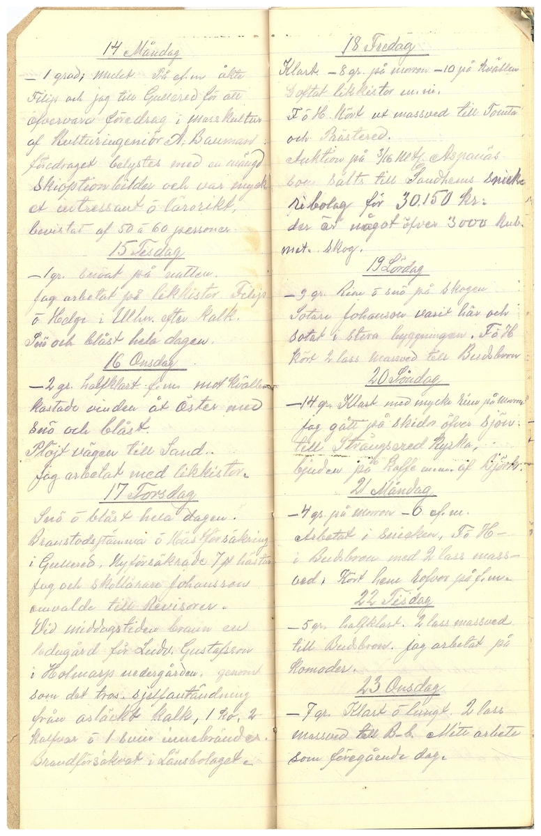 Gullereddagboken 1916 3