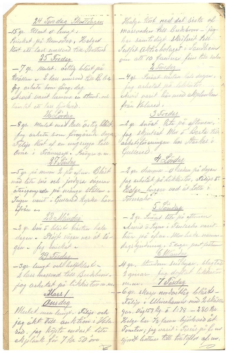 Gullereddagboken 1916 3