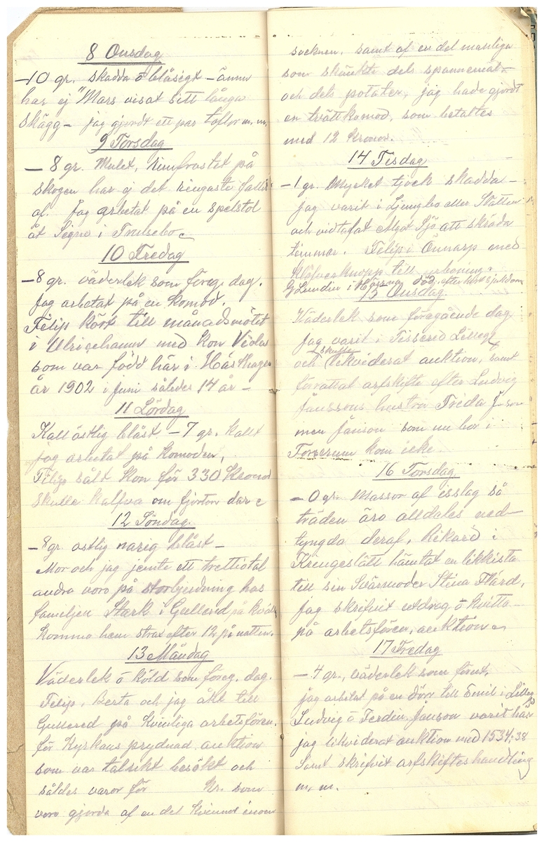 Gullereddagboken 1916 3