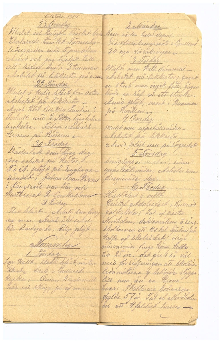 Gullereddagboken 1914 2