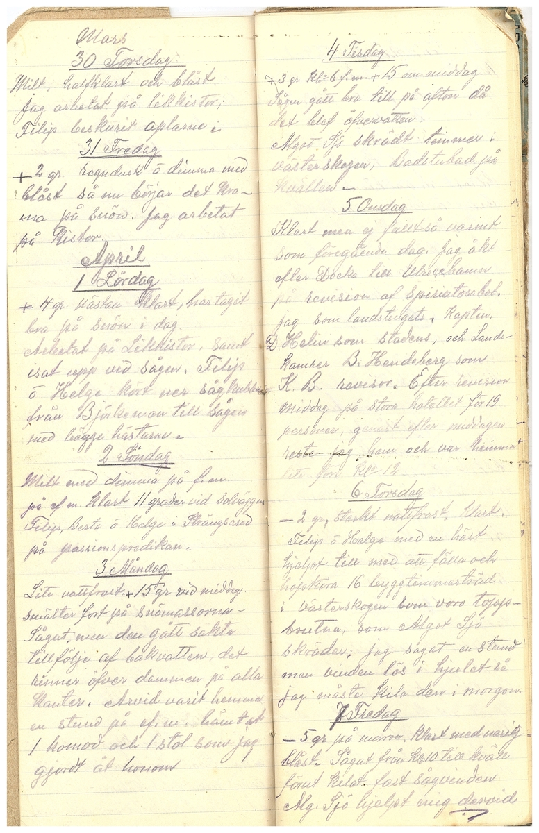 Gullereddagboken 1916 3