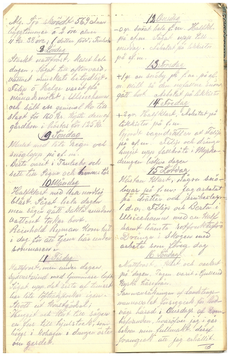 Gullereddagboken 1916 3