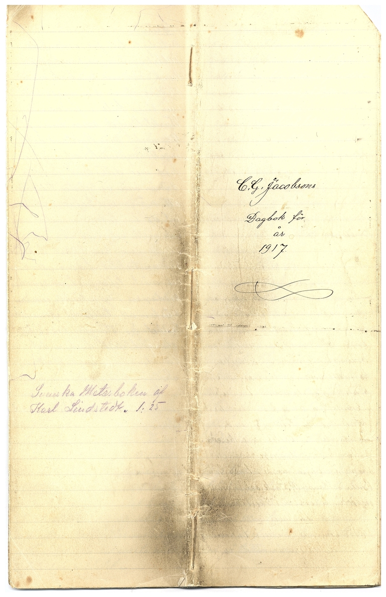 Gullereddagboken 1917 3