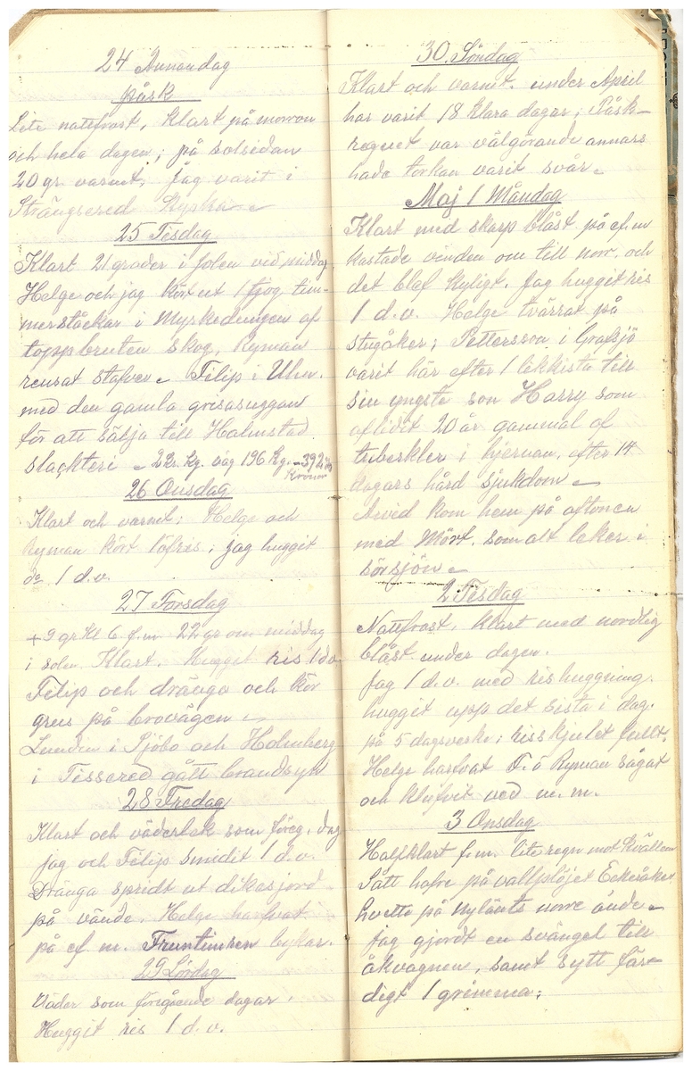 Gullereddagboken 1916 3