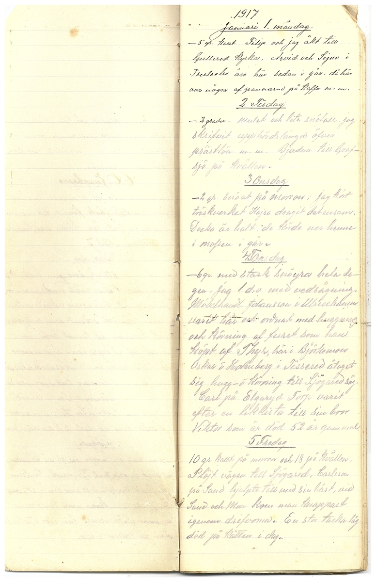 Gullereddagboken 1917 3