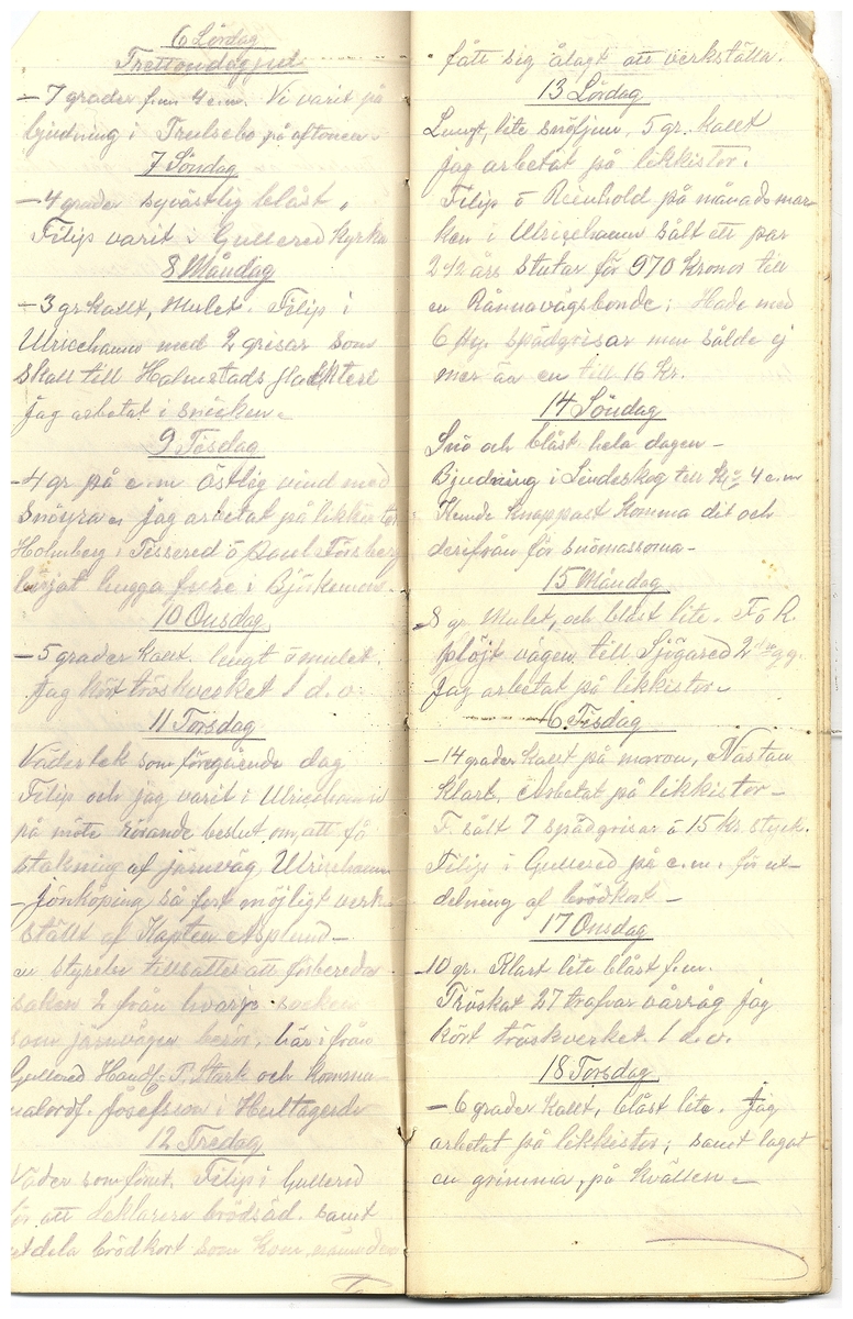 Gullereddagboken 1917 3