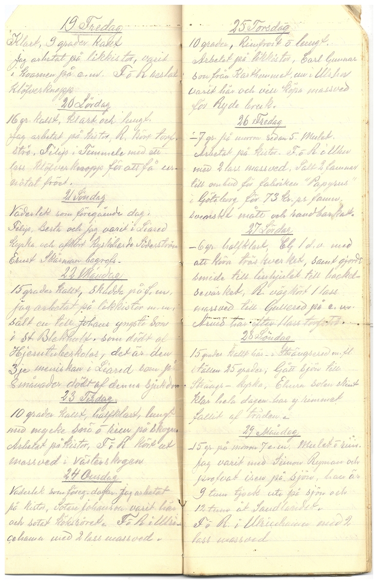 Gullereddagboken 1917 3