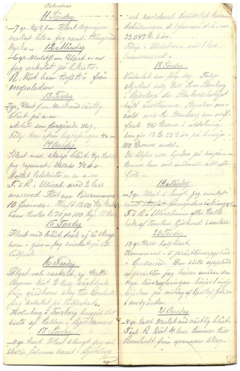 Gullereddagboken 1917 3