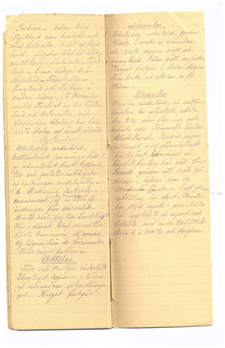 Gullereddagboken 1914 2