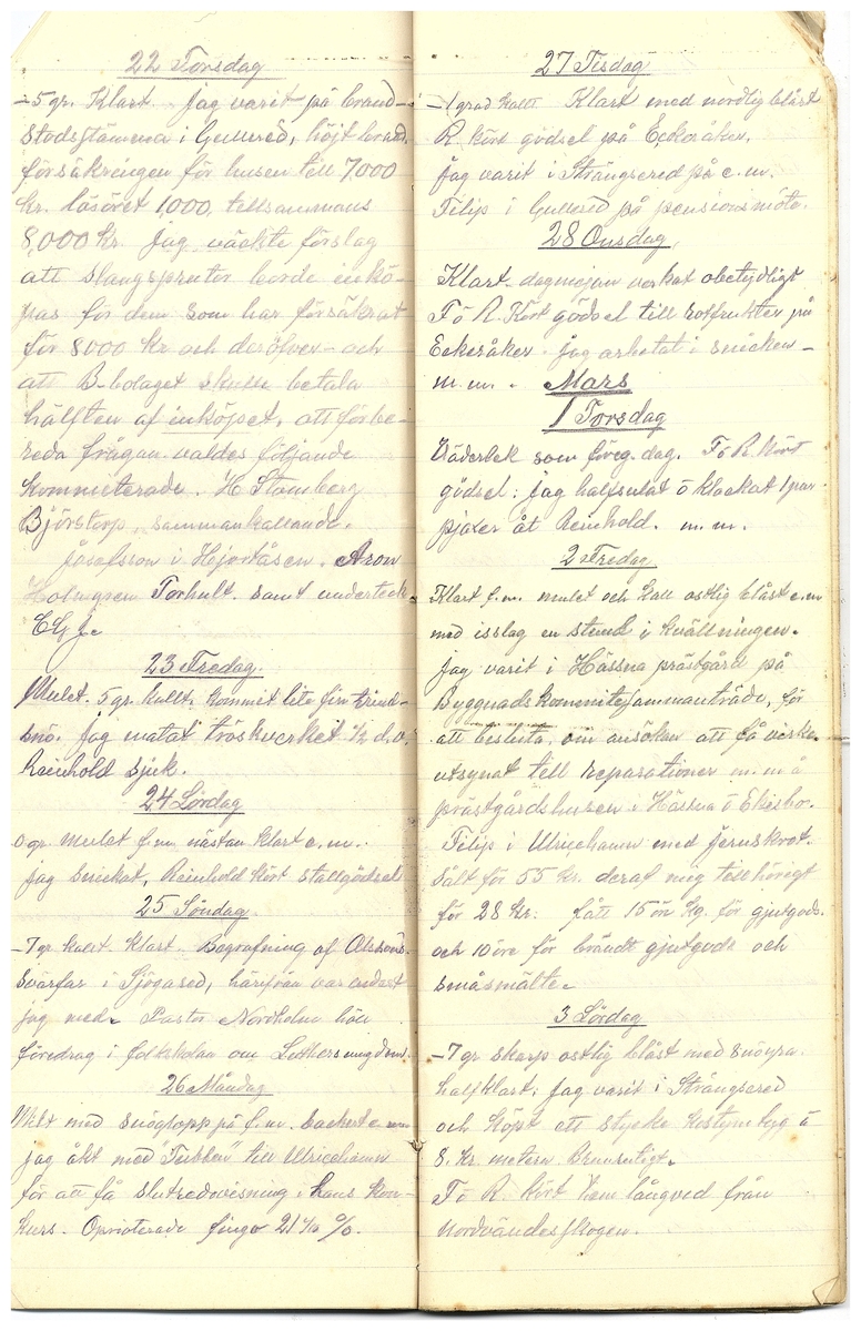 Gullereddagboken 1917 3