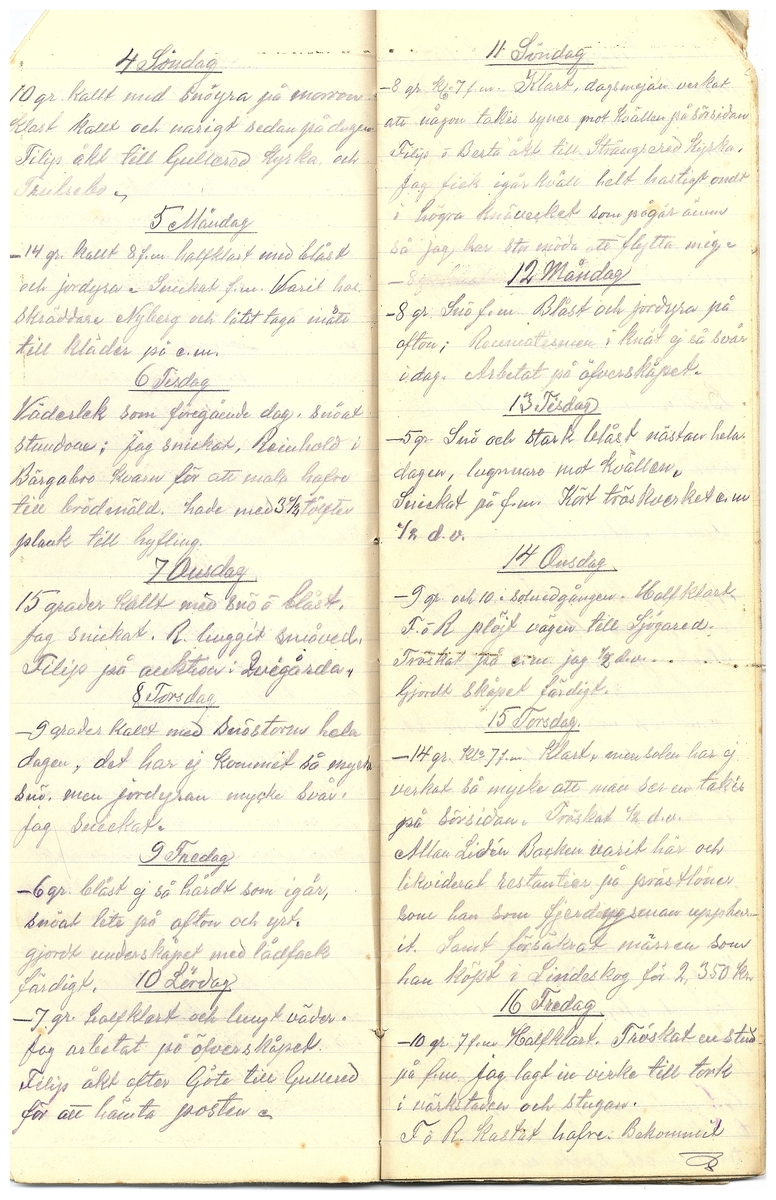 Gullereddagboken 1917 3