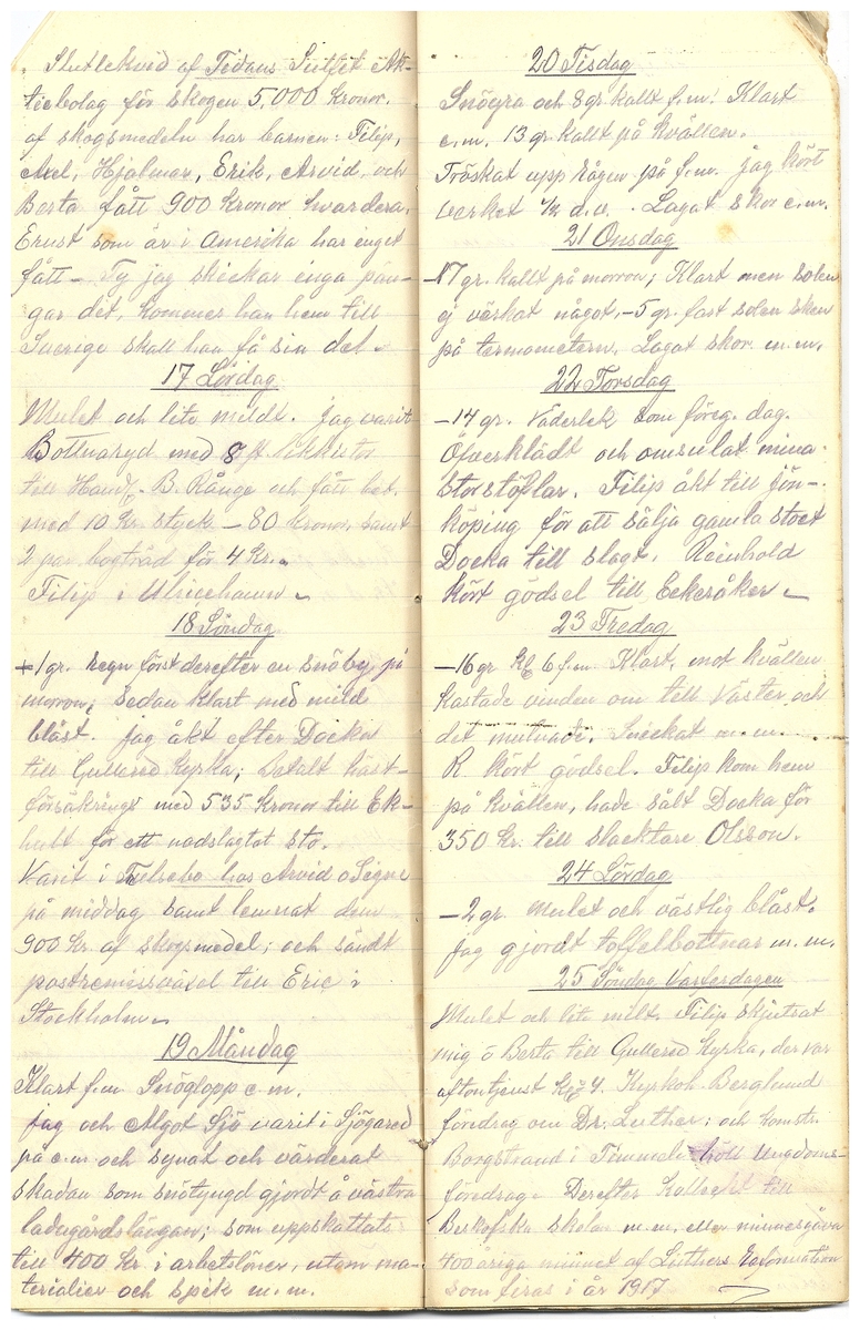 Gullereddagboken 1917 3