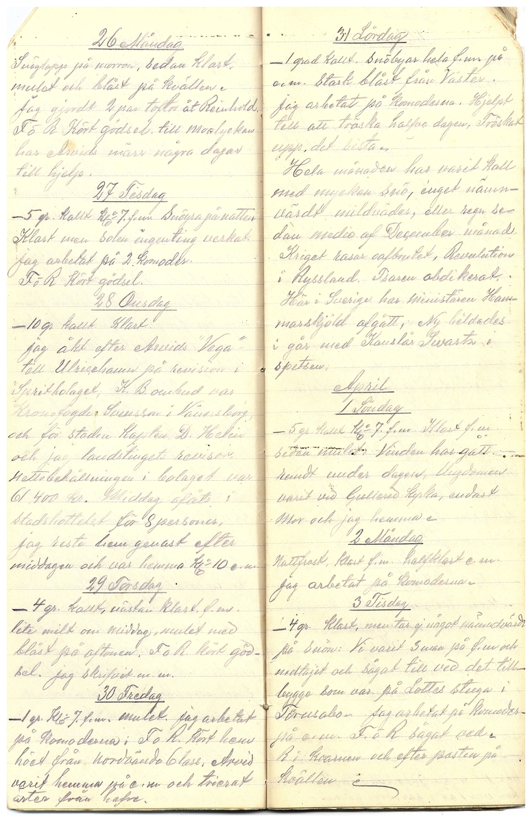 Gullereddagboken 1917 3