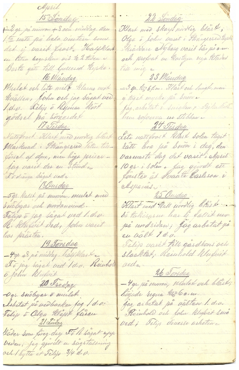 Gullereddagboken 1917 3