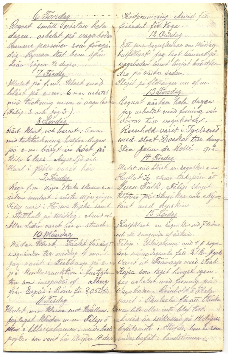 Gullereddagboken 1916 3