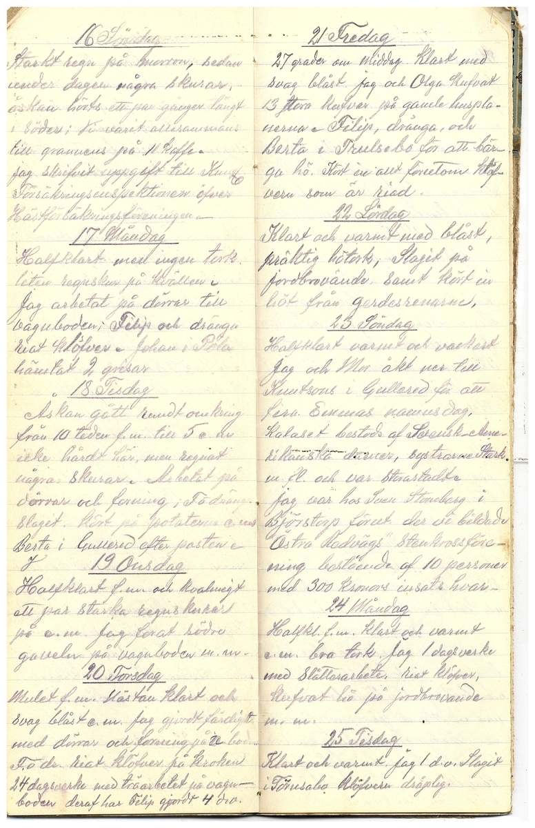 Gullereddagboken 1916 3