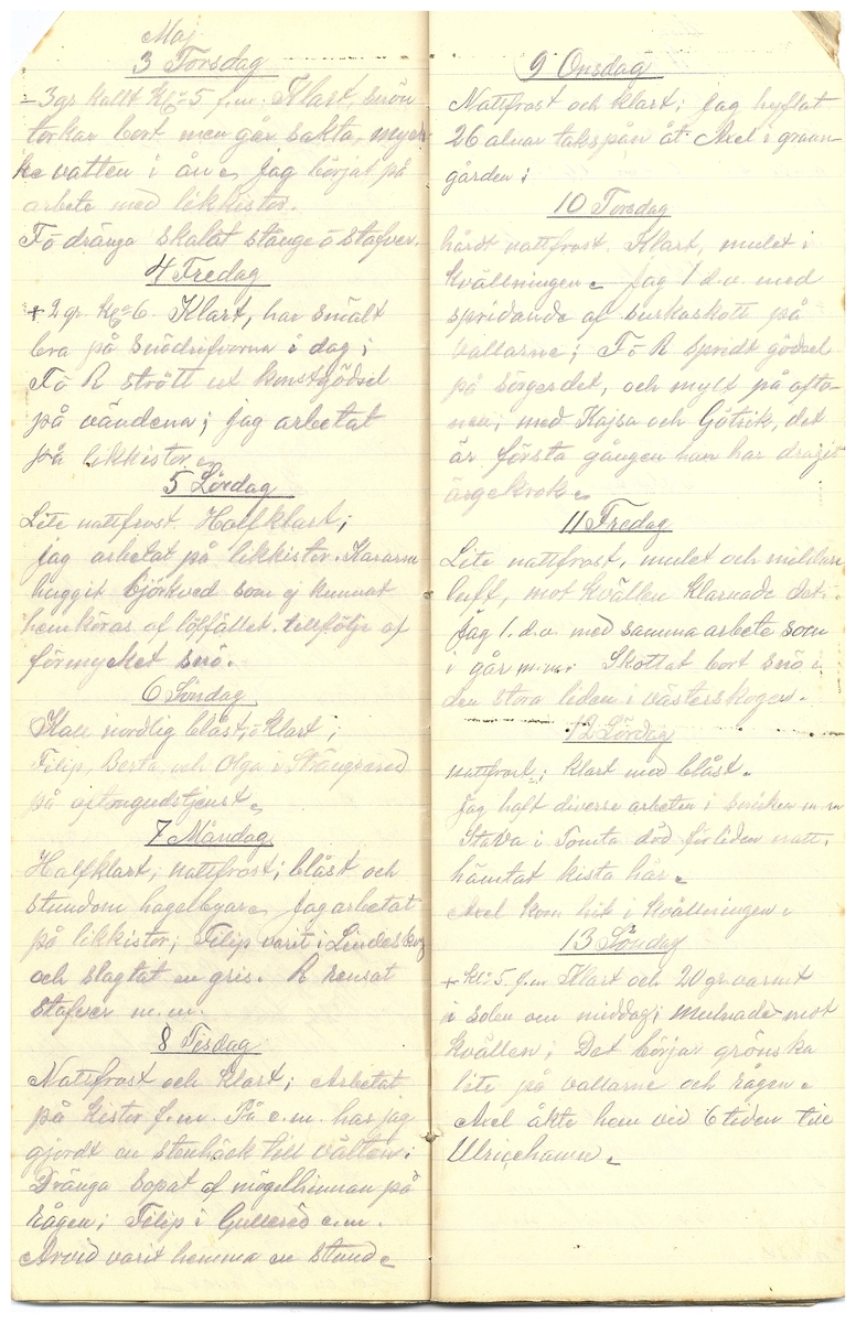 Gullereddagboken 1917 3