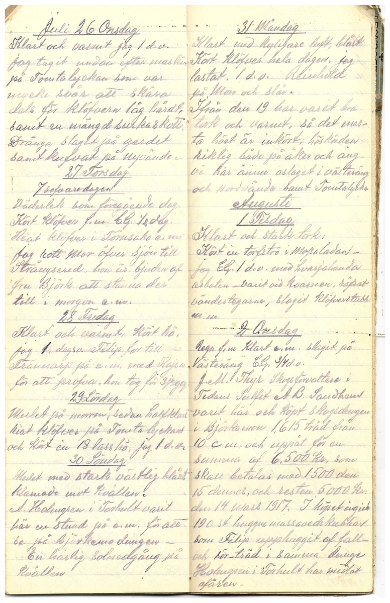 Gullereddagboken 1916 3