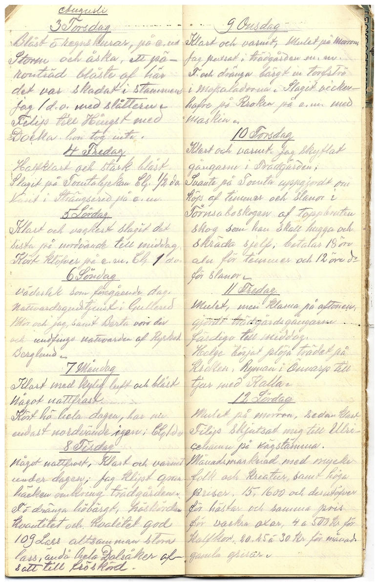 Gullereddagboken 1916 3