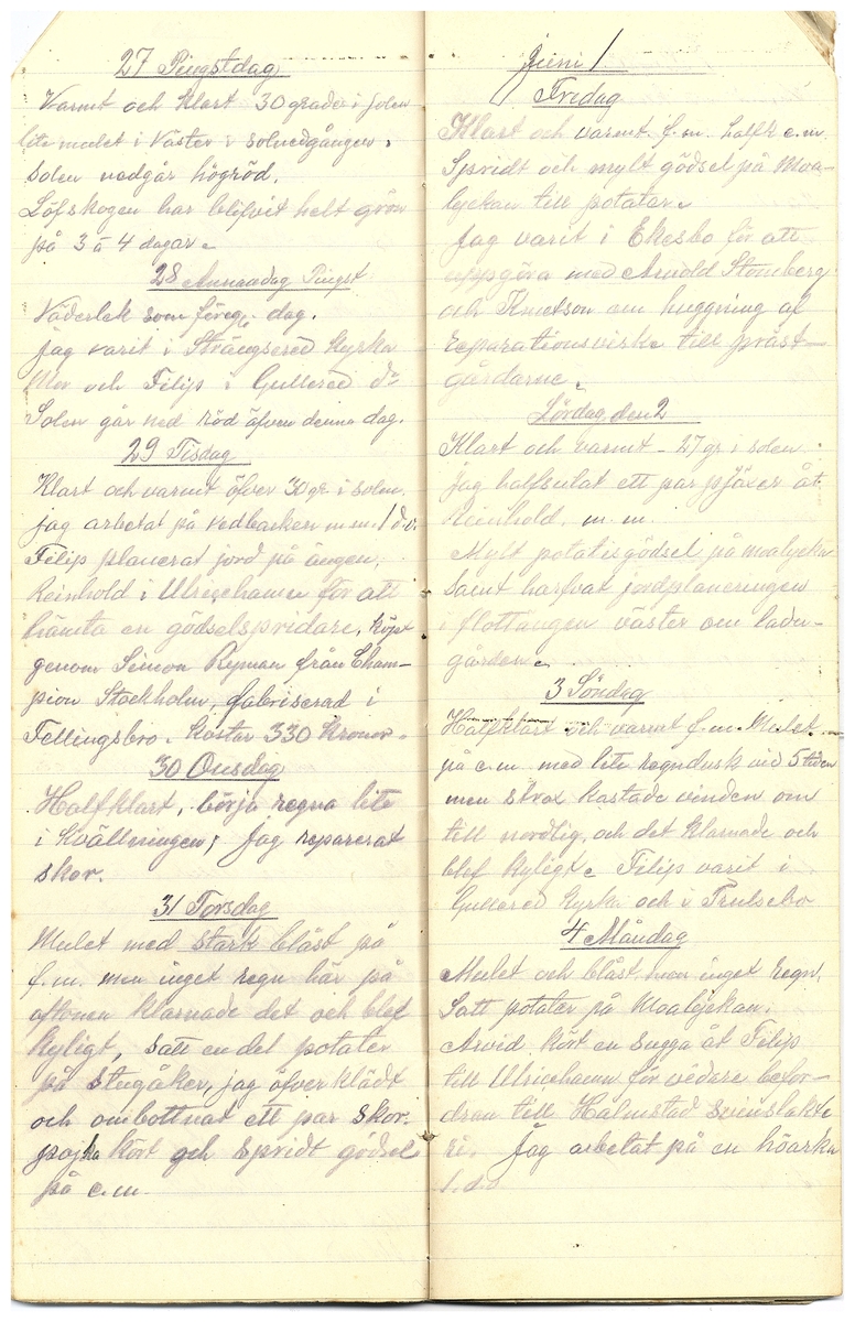 Gullereddagboken 1917 3