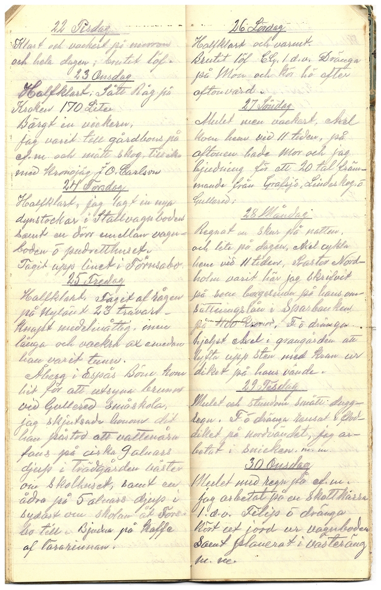 Gullereddagboken 1916 3