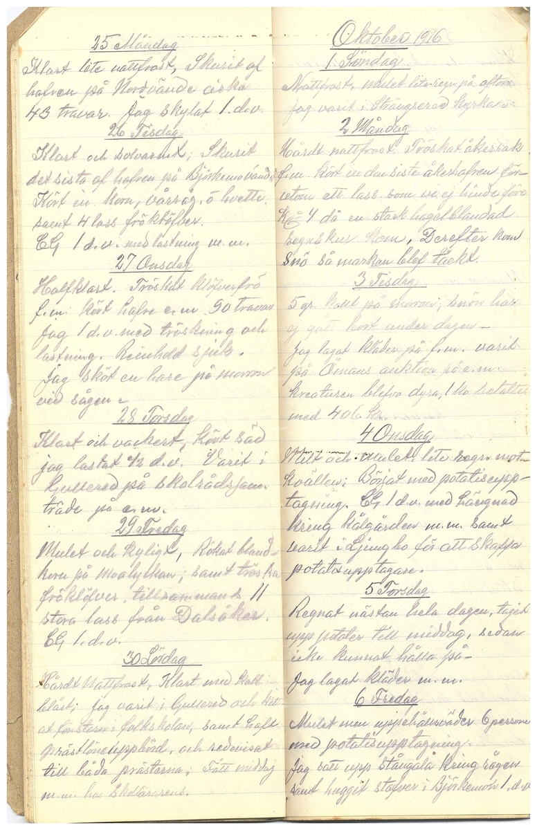 Gullereddagboken 1916 3