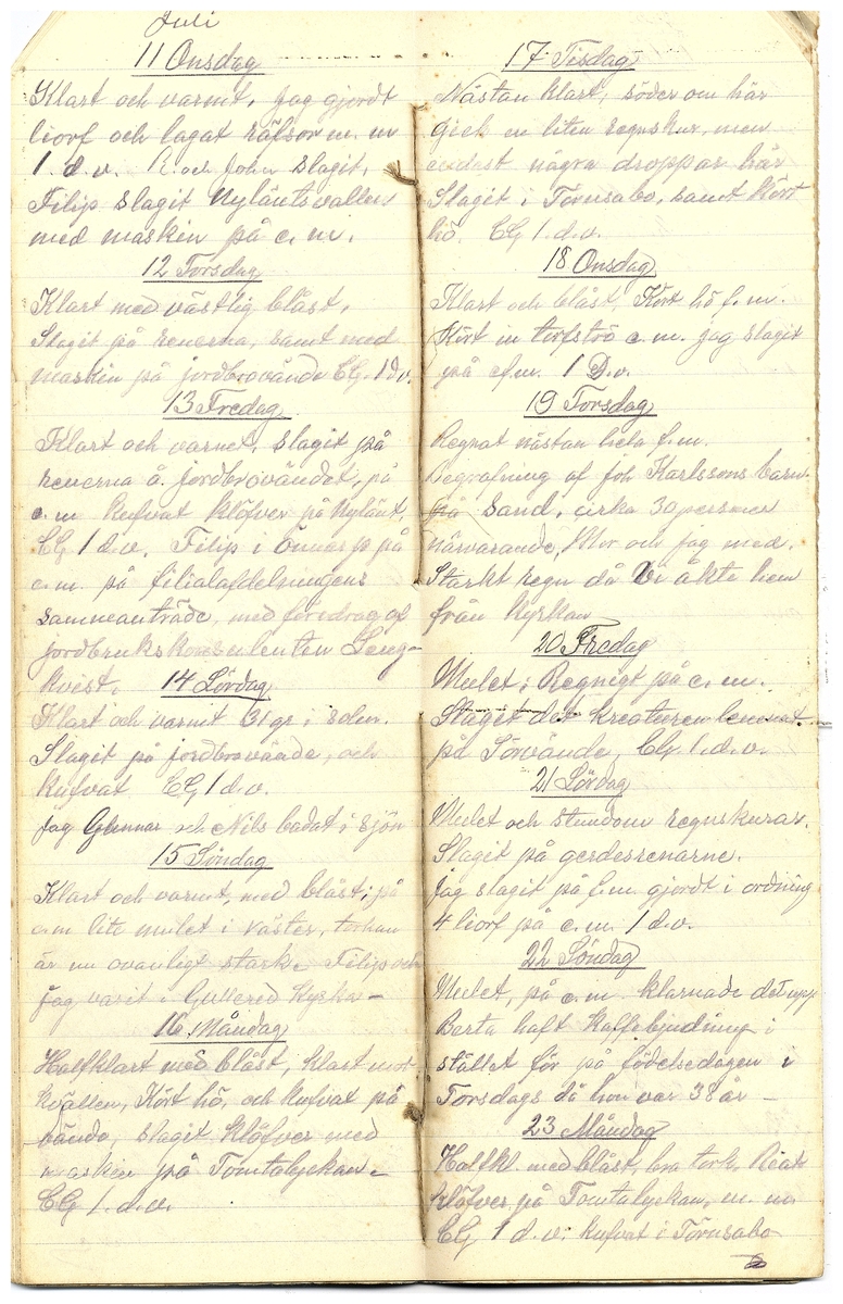 Gullereddagboken 1917 3