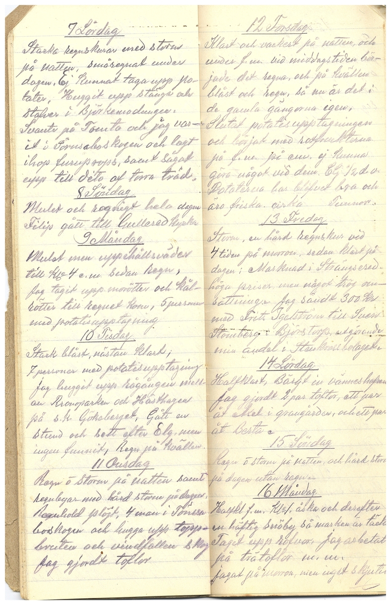 Gullereddagboken 1916 3