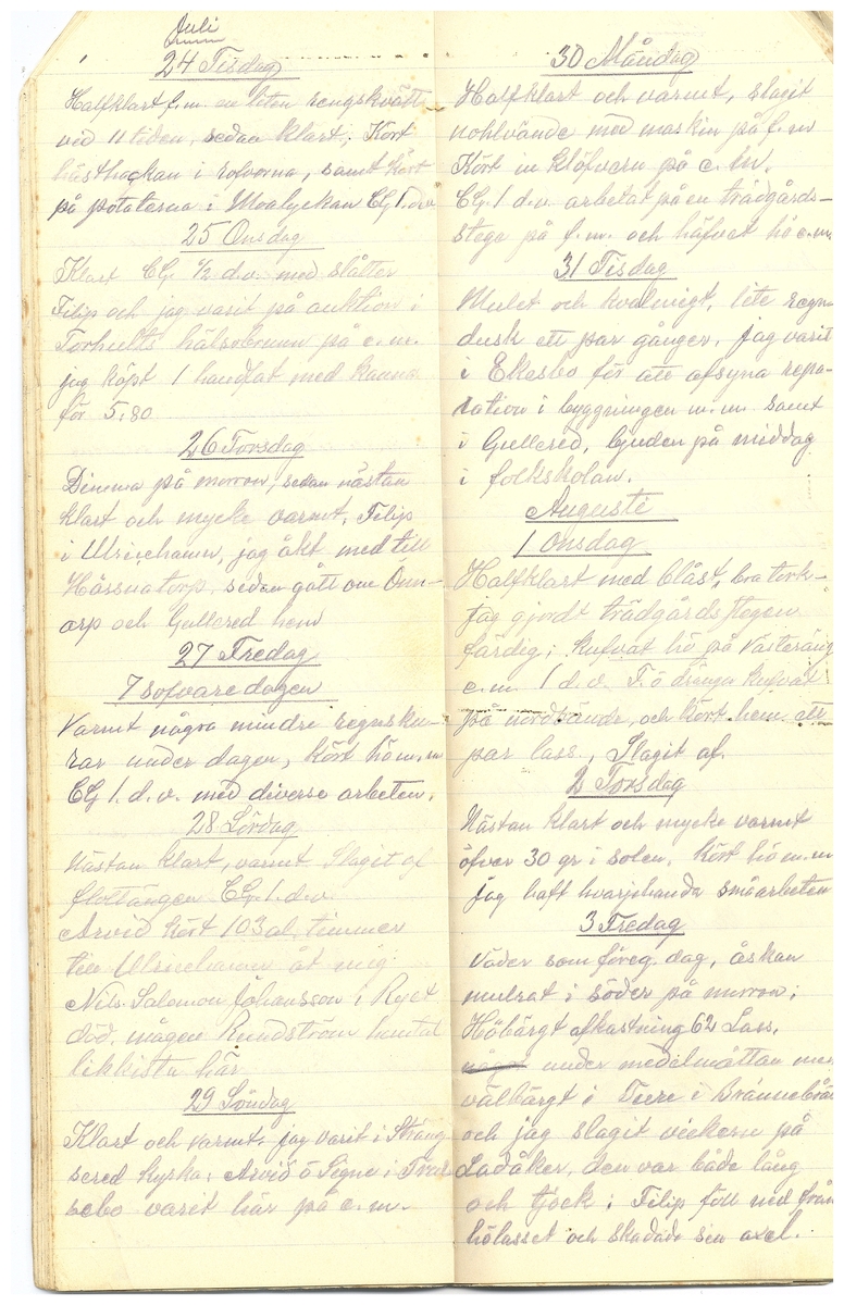 Gullereddagboken 1917 3