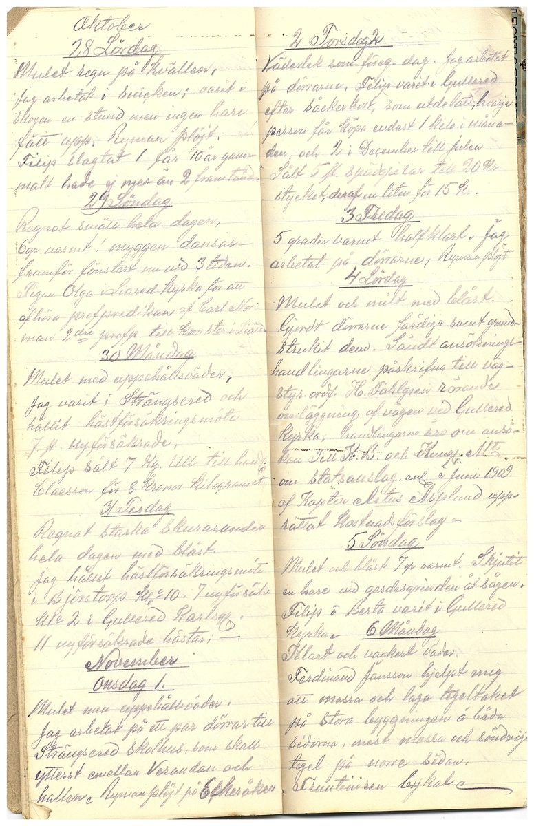 Gullereddagboken 1916 3