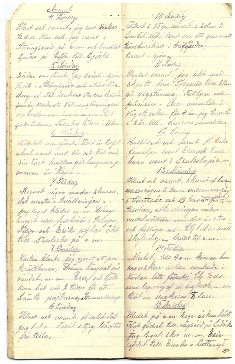 Gullereddagboken 1917 3