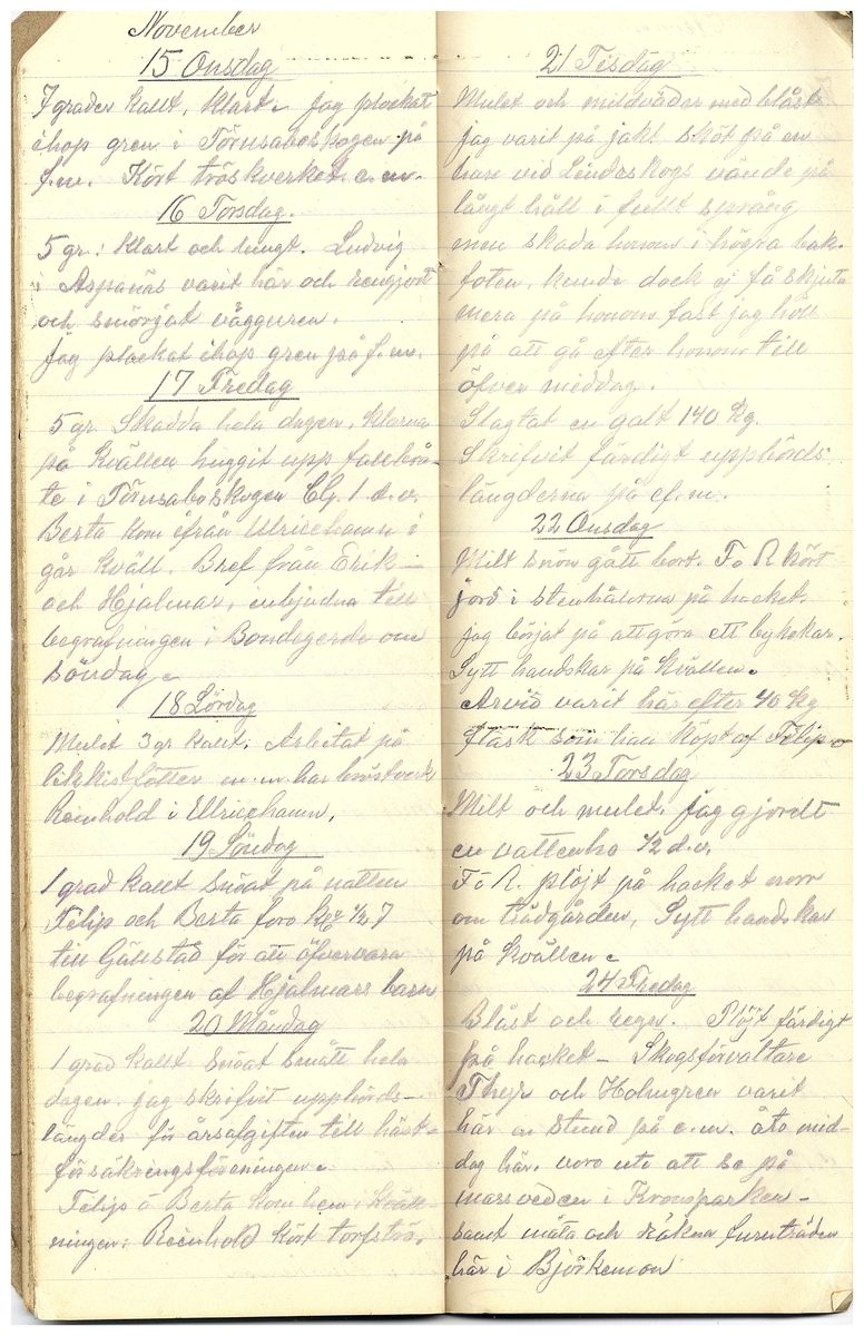 Gullereddagboken 1916 3