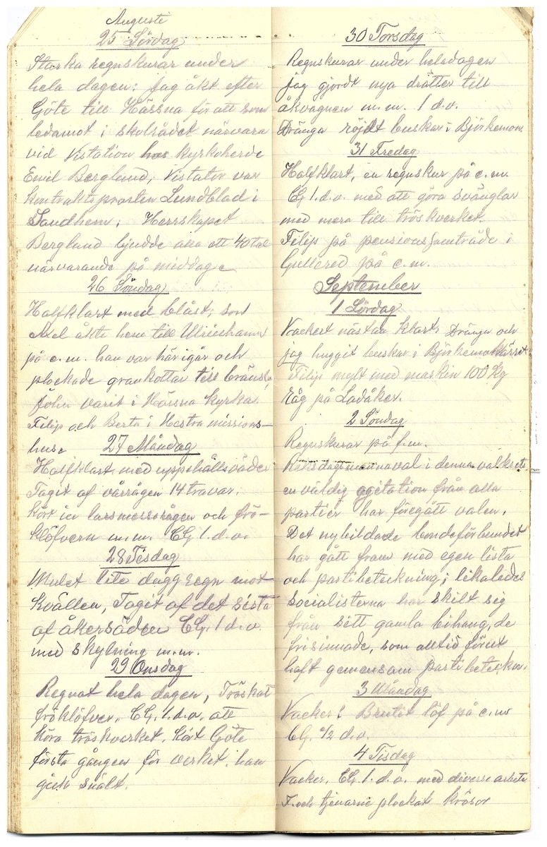 Gullereddagboken 1917 3