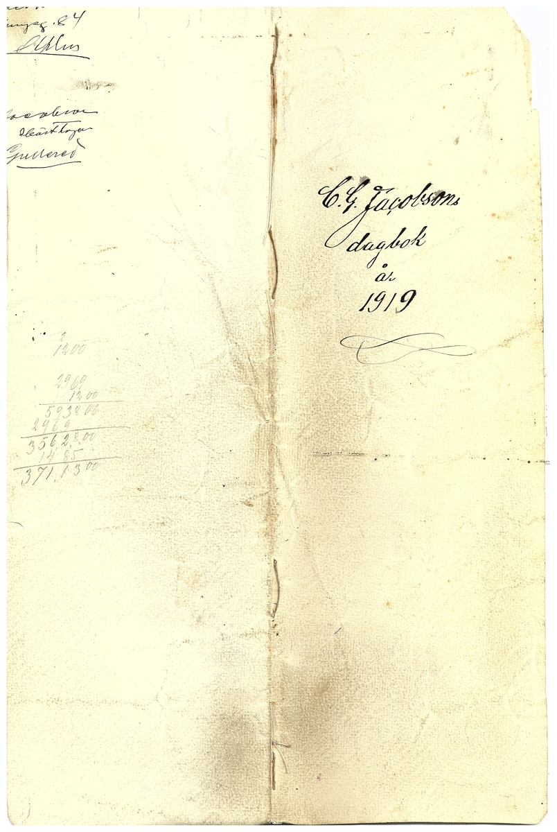 Gullereddagboken 1919 2